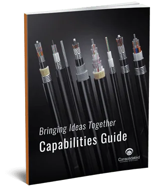 The Capabilities Guide The Capabilities Guide